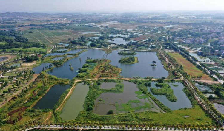 广西宾阳县湿地工程项目初步设计审查