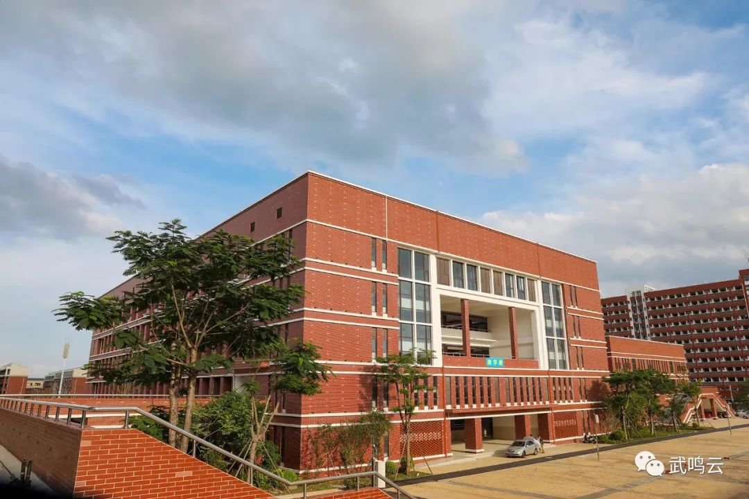 广西武鸣高中定罗湖校区教学设施设备采购项目