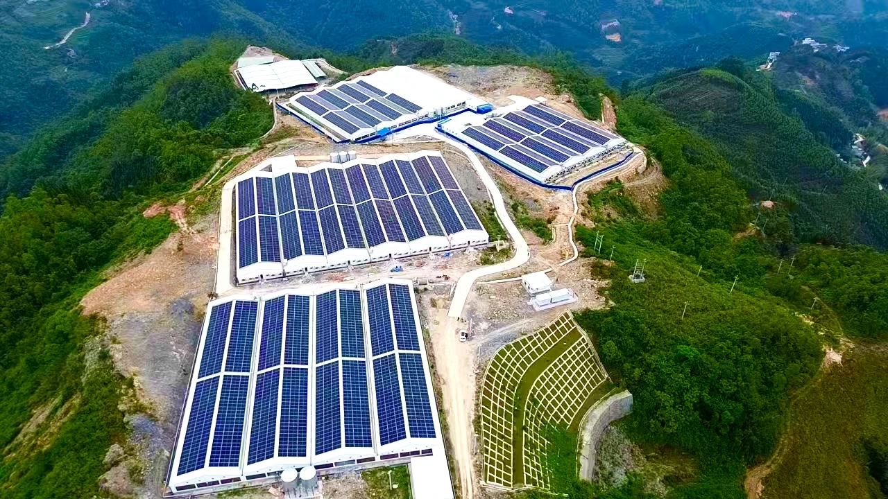 攻坚“430”|热烈庆祝百色市那坡县现代生态养殖产业园屋顶分布式光伏发电项目全容量并网发电